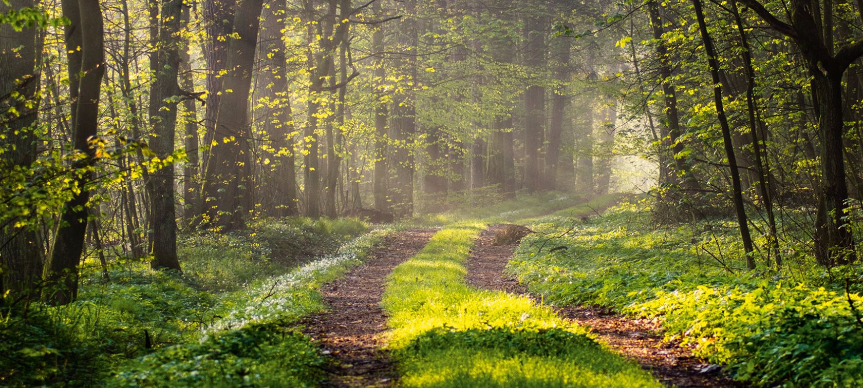 17 000 POWODÓW WIĘCEJ, BY ZADBAĆ O JUTRO.